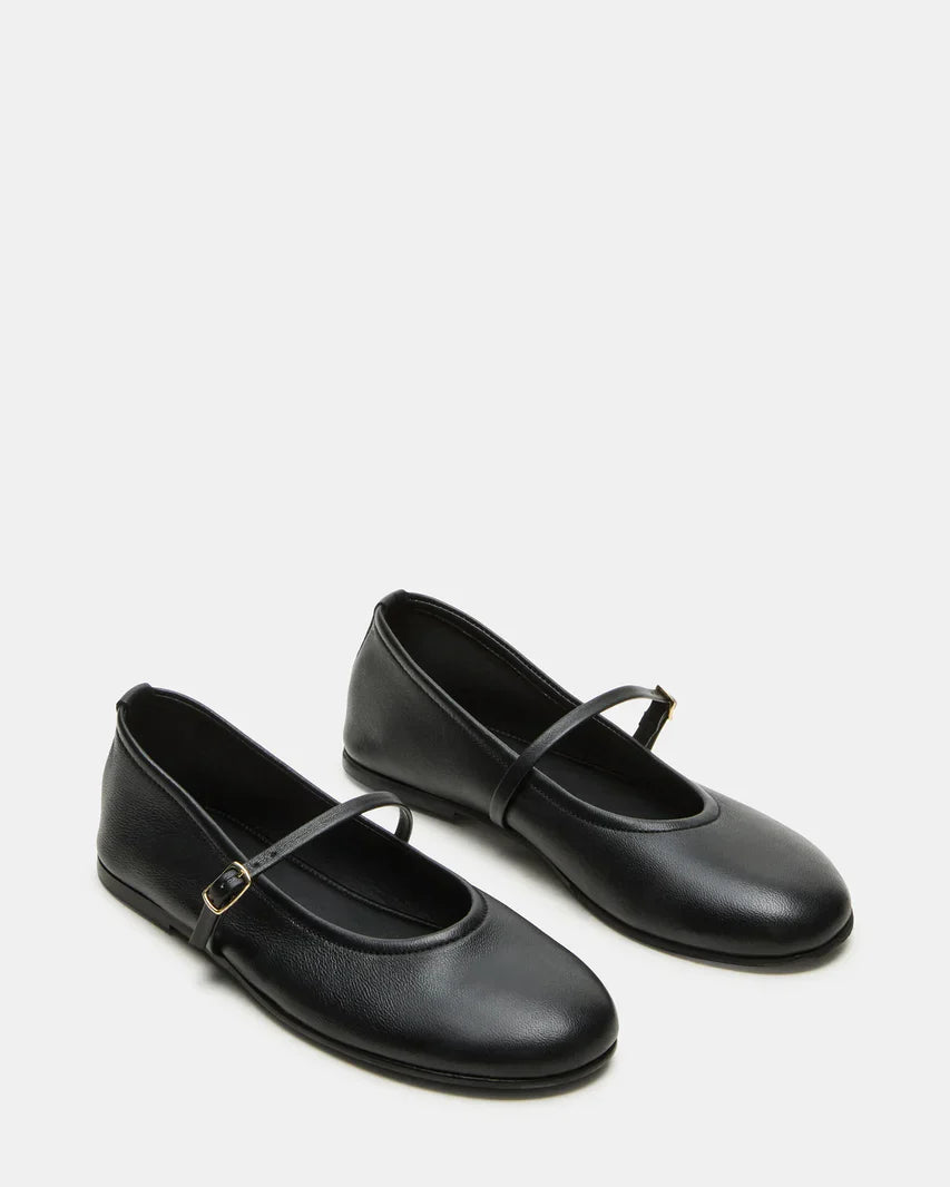 Steve Madden Besette Black Leather  -   BLACK LEATHER