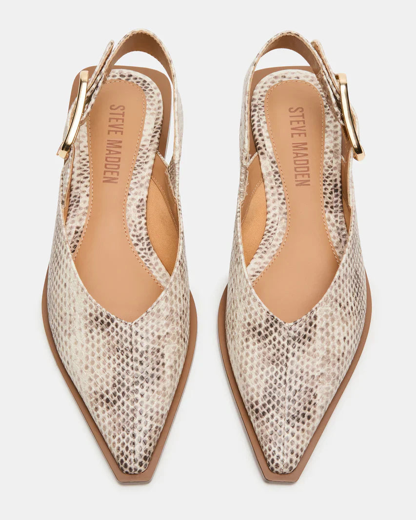 Steve Madden Shay Snake  -  SNAKE