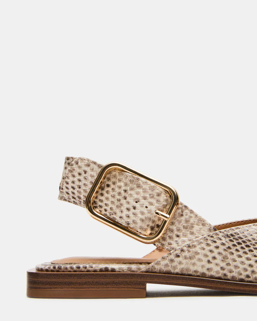 Steve Madden Shay Snake  -  SNAKE