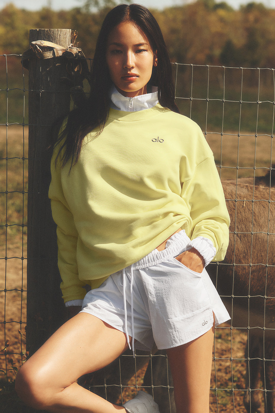 Alo Yoga Accolade Crew Neck Pullover  -  Sunshine