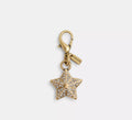 Coach  DIY Crystal Star Charm  -   Brass/Brass