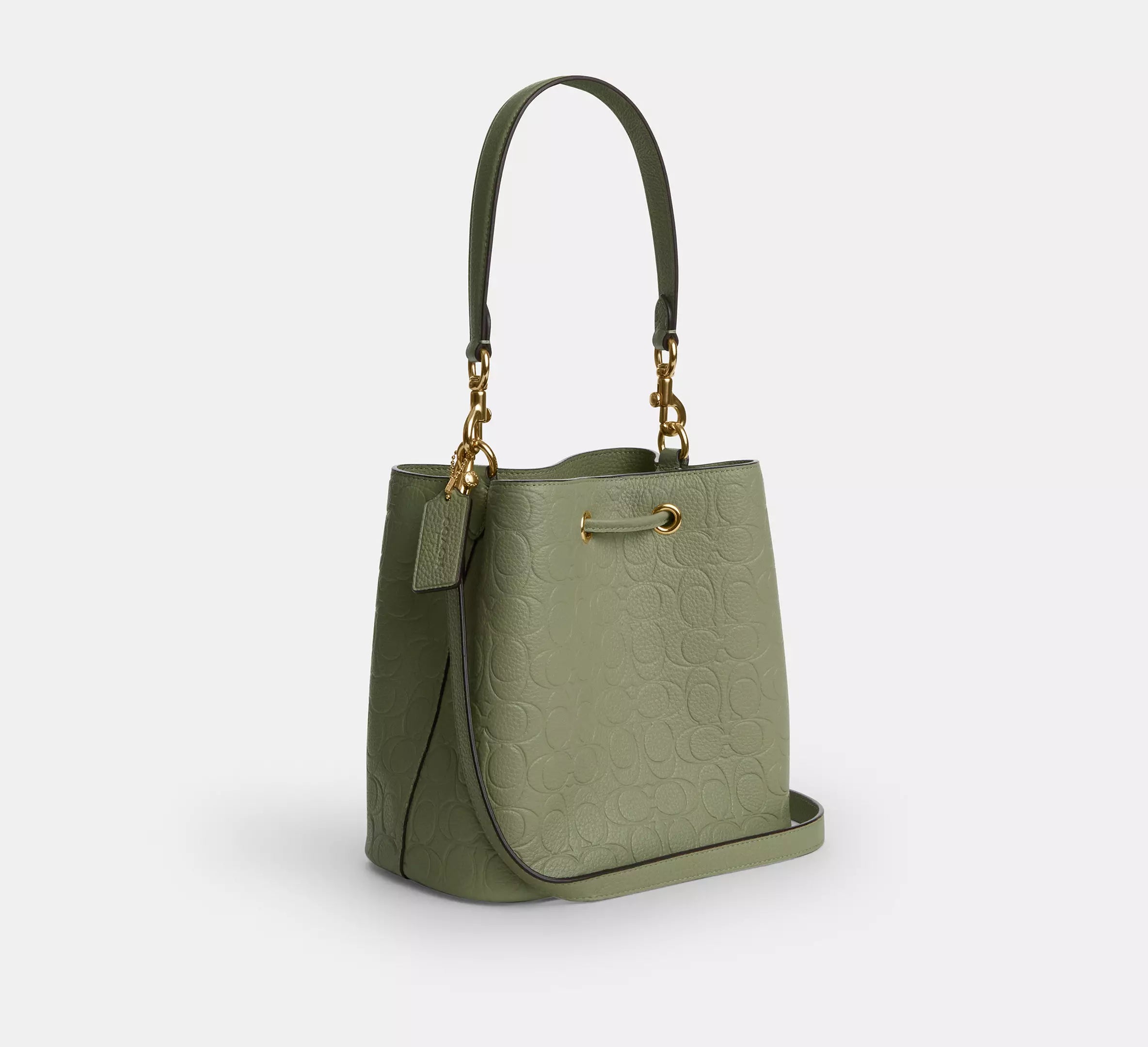 Coach Rowan Bucket Bag In Signature Leather - Gold/Pistachio