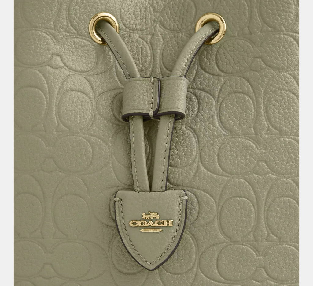 Coach Rowan Bucket Bag In Signature Leather - Gold/Pistachio