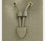 Coach Rowan Bucket Bag In Signature Leather - Gold/Pistachio
