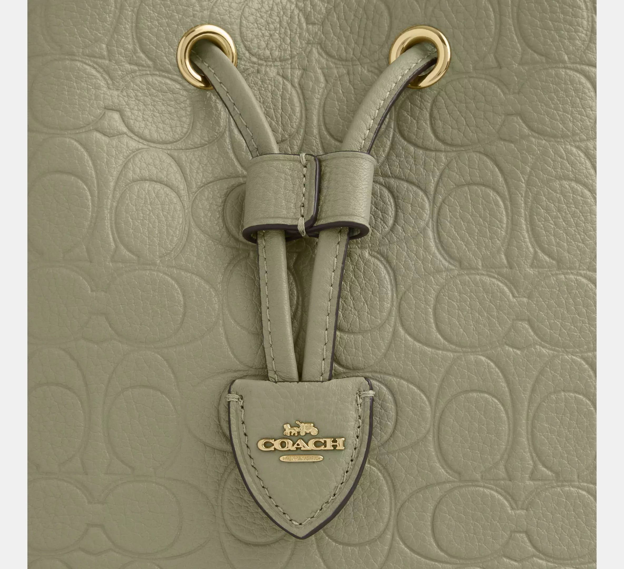 Coach Rowan Bucket Bag In Signature Leather - Gold/Pistachio
