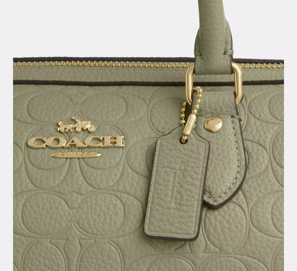 Coach Rowan Satchel Bag In Signature Leather - Gold/Pistachio