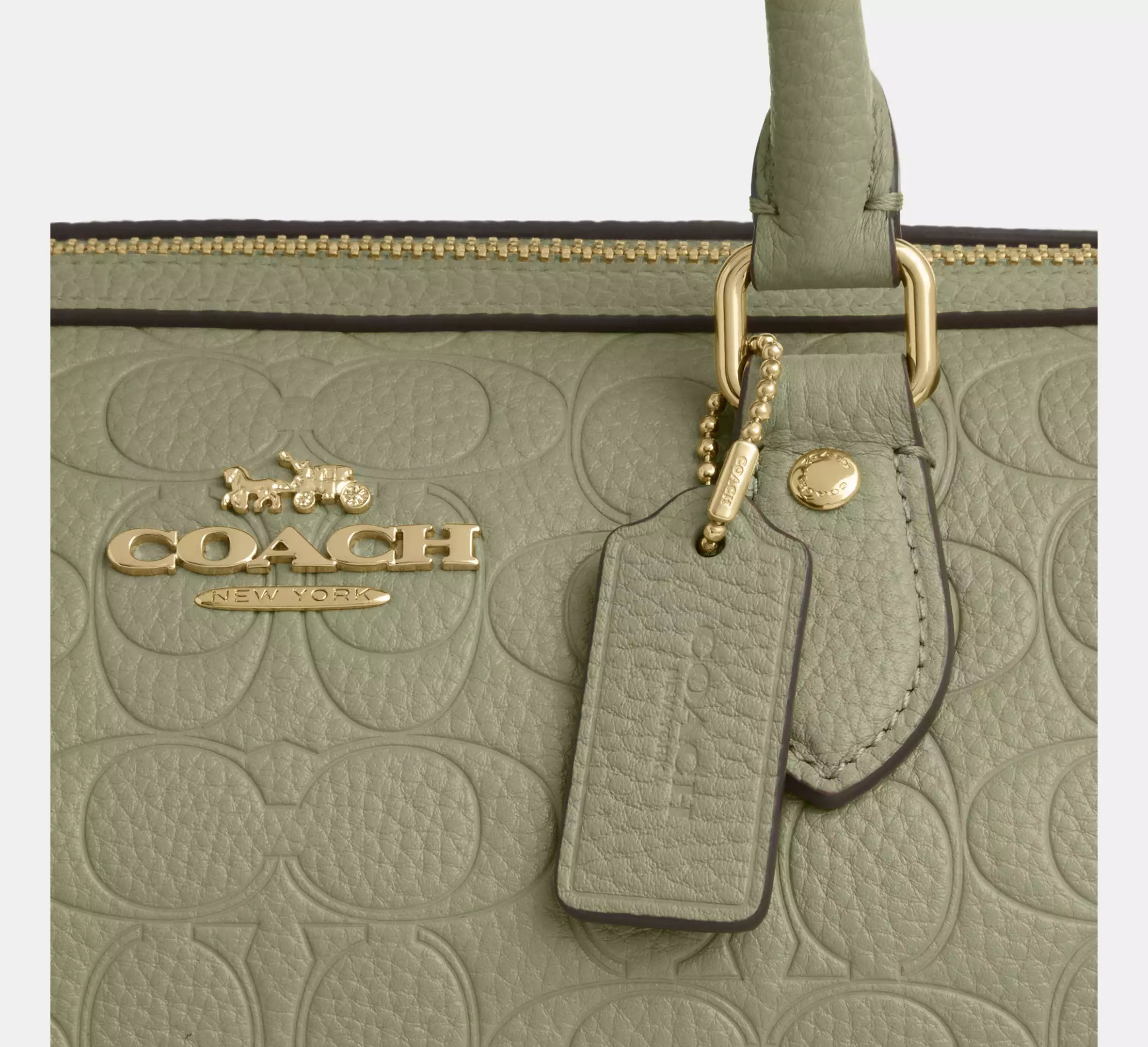 Coach Rowan Satchel Bag In Signature Leather - Gold/Pistachio