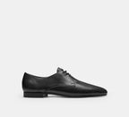 Coach Soft Derby  -  Black