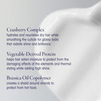 Oribe  -  Supershine Light Moisturizing Hair Cream