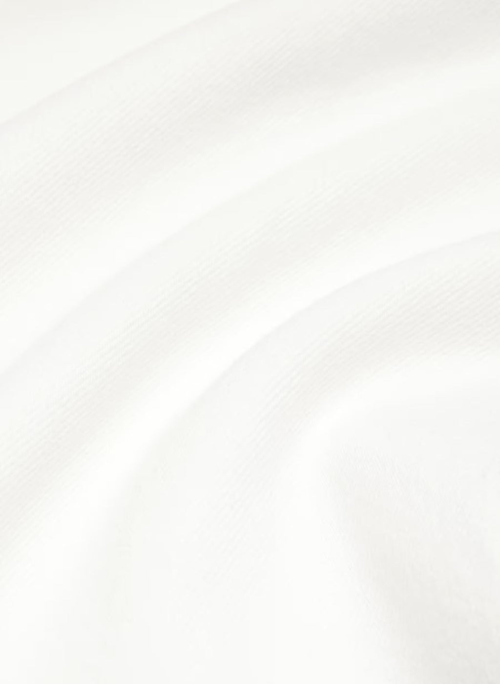 Aritzia Denim Forum The '90s Iggy Lo-Rise Baggy Jean-a little White lie