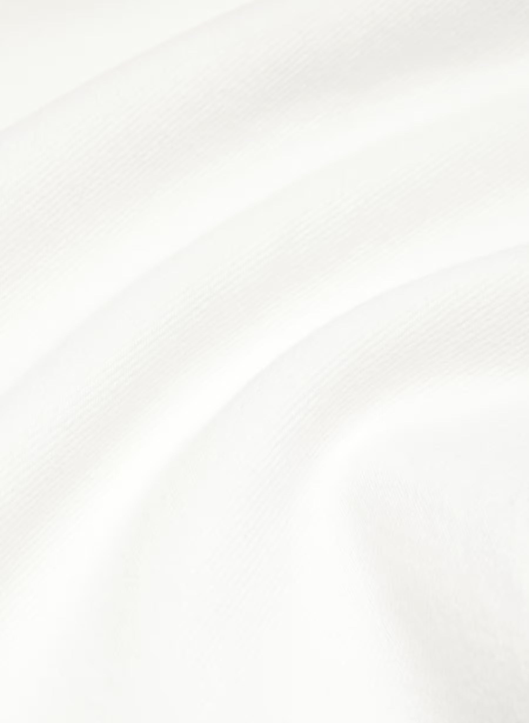 Aritzia Denim Forum The '90s Iggy Lo-Rise Baggy Jean-a little White lie