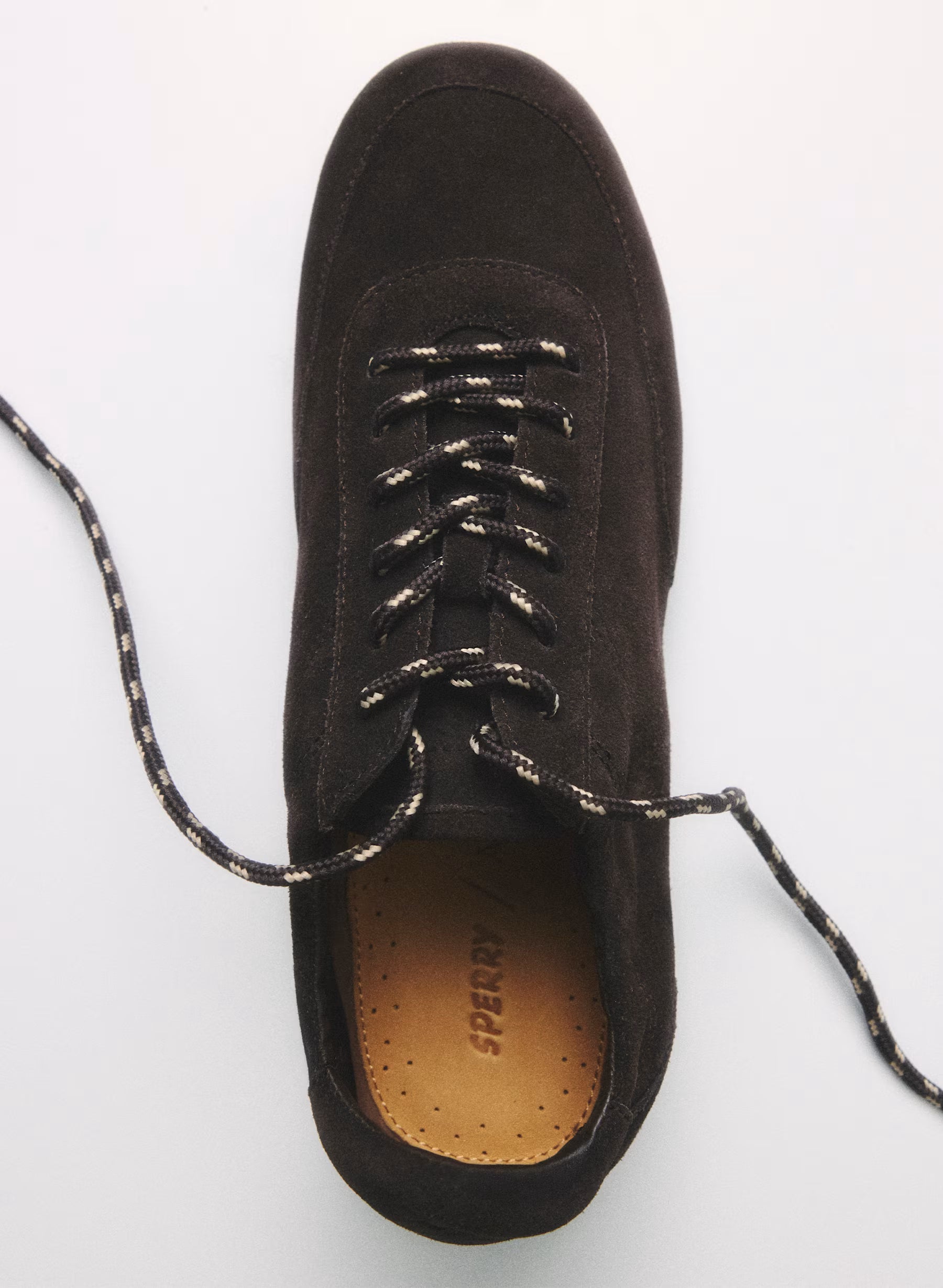 Aritzia Sperry x Aritzia Slim Jogger - Suede Leather-Rich Mocha Brown